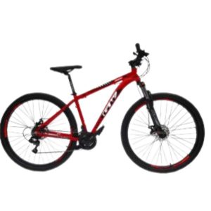 BICICLETA GW Zebra  29